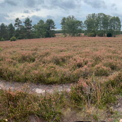 23-09-18 14-32-24 7052